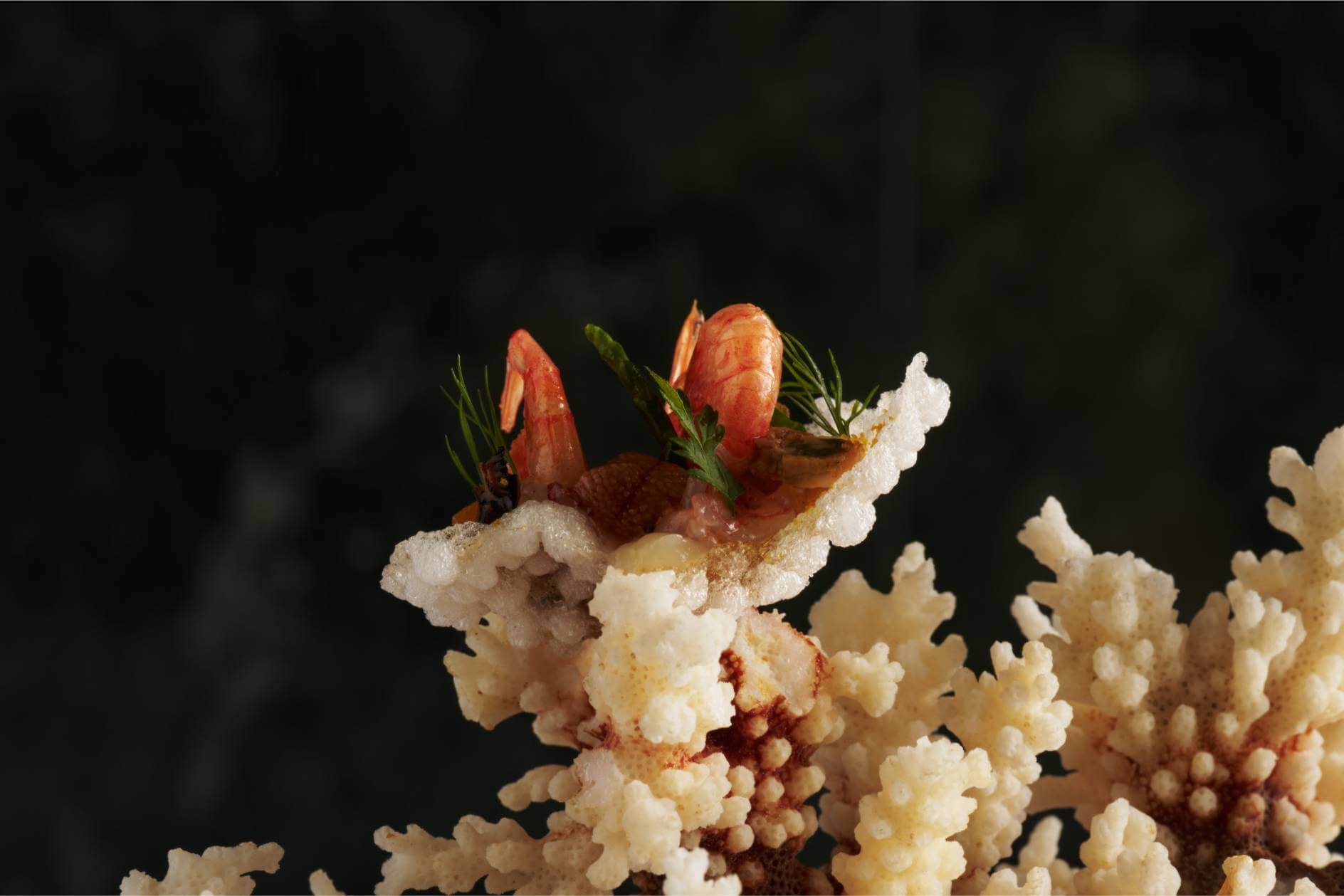 DSC04062 Rooftop Gastronomy